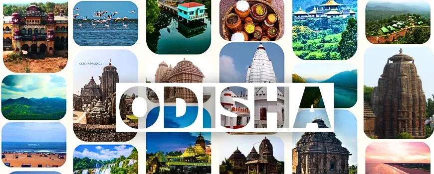 odisha travel plan