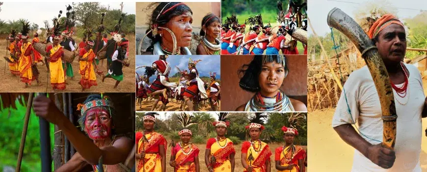 odisha trible tour