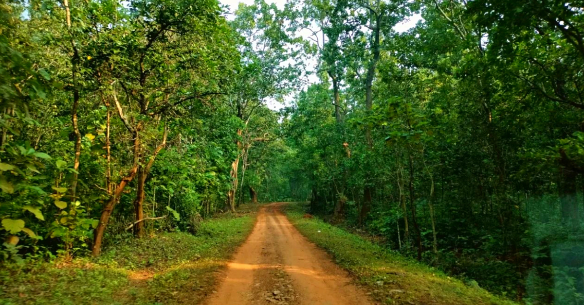 Discover Brazil