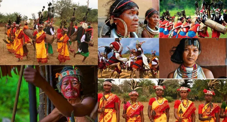 odisha tribes